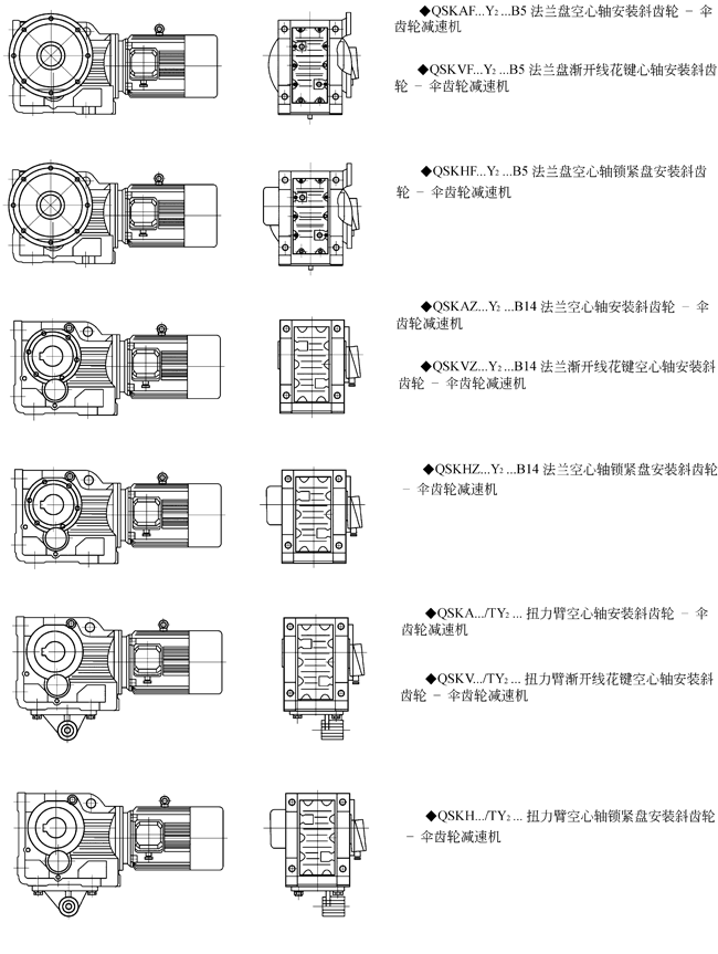 QSK系列斜齿轮―伞齿轮减速机结构型式图 