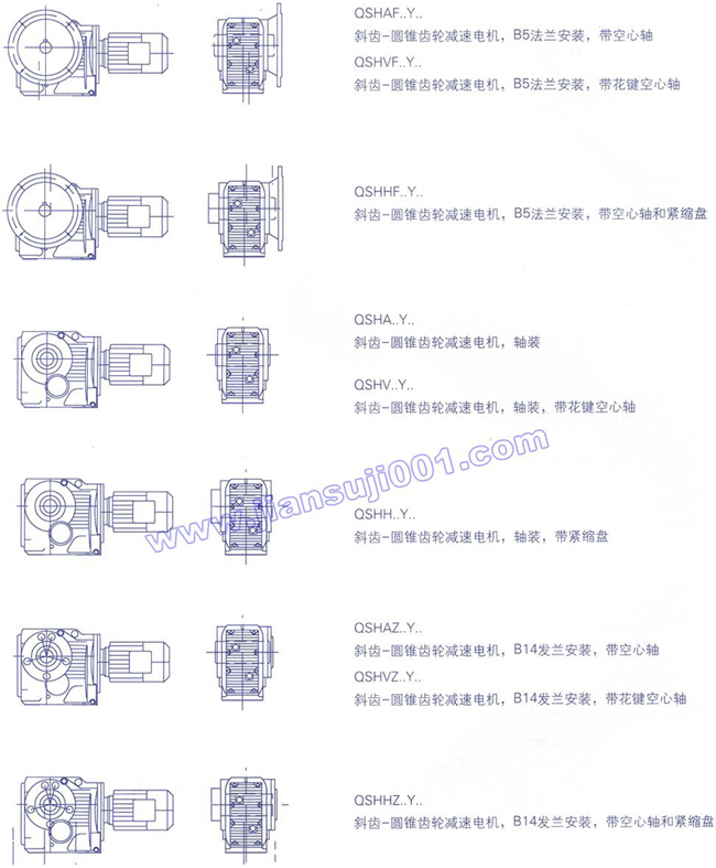 QSH系列斜齿-圆锥齿轮减速电机